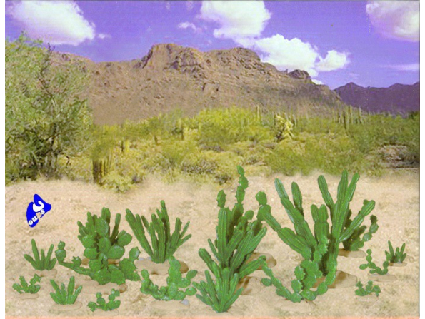 Pegasus maquette diorama 6508 Petit Cactus 1/72