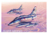 TRUMPETER maquette avion 02267 DOUGLAS A-4F "SKYHAWK" 1/32
